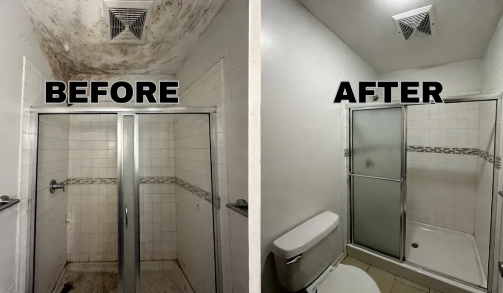 BATHROOM Mold REMOVAL