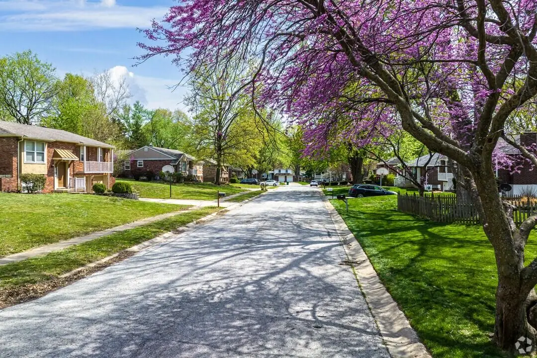 Tree lined residential street with brick split level homes, green lawns and a blooming redbud tree