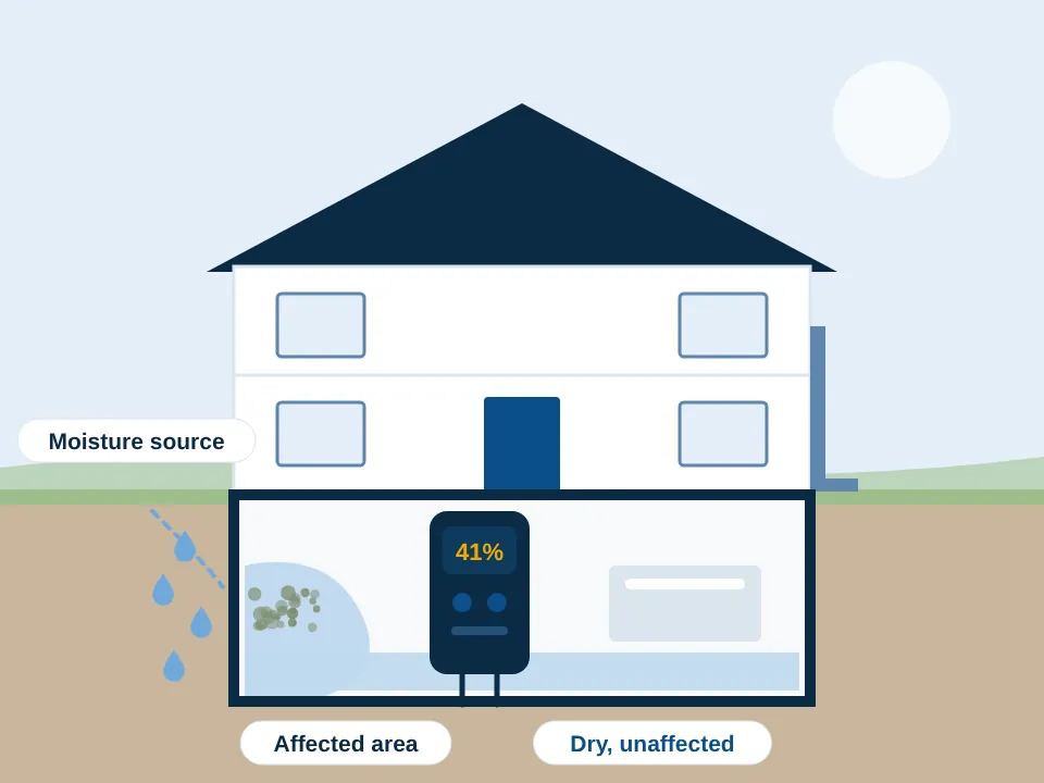 Overland Park home with a damp basement wall, a moisture meter reading and the affected area marked